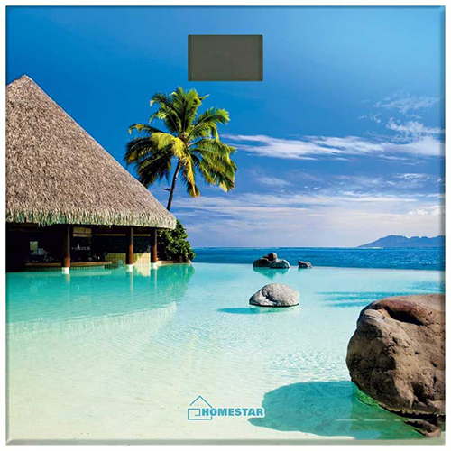 Весы электронные HOMESTAR HS-6001H Гаваи