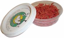 Опарыш живой цветной